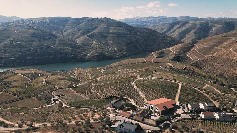 Pinhão: Quinta da Formigosa Vineyard Tour and Wine Tasting - Is $35 a fair price?