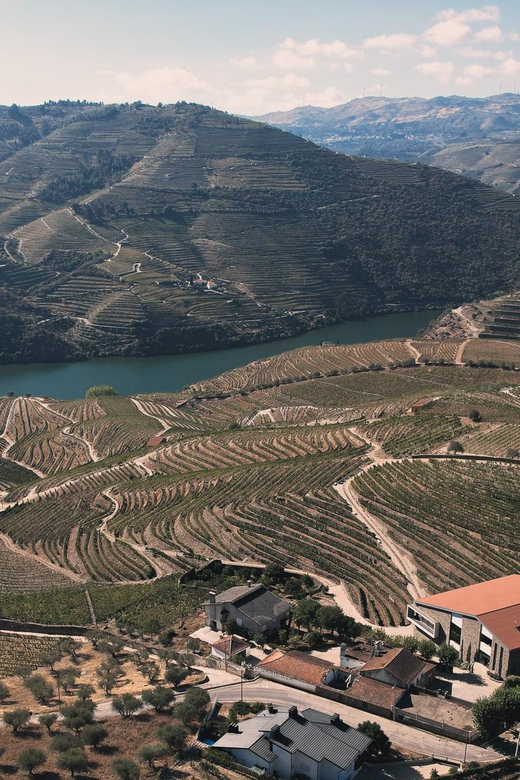 Pinhão: Quinta da Formigosa Vineyard Tour and Wine Tasting - Who will enjoy this estate most?