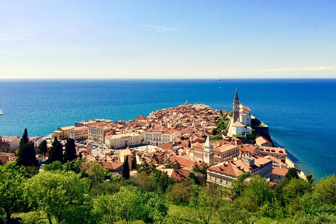 Piran Walking Tour with Local Wine and Food Tasting - Is $42.33 a fair price?