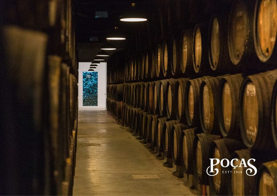 Poças: Guided Tour & Port Wine Tasting with Pastel de Nata - Who will enjoy this Port tasting most?