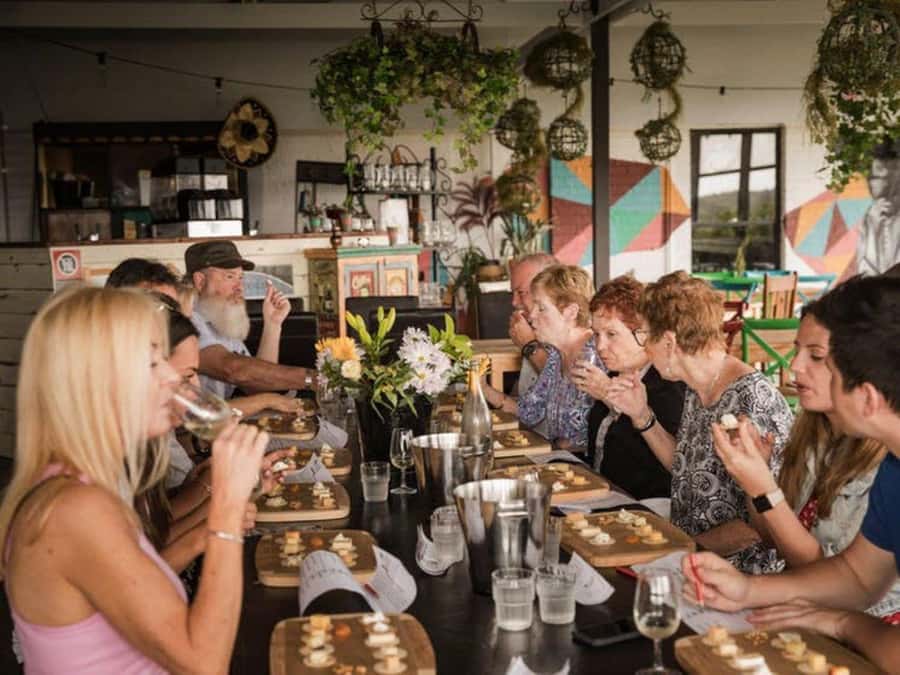 Pokolbin: Hunter Valley Half-Day Tour with Cheese and Wine - Why the cheese pairing is the tour’s best idea