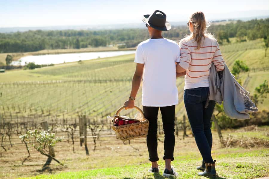 Pokolbin: Picnic & Wine Tasting at Audrey Wilkinson Vineyard - What happens during the wine master class