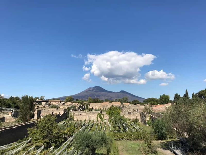 Pompeii: Archeological Tour & Wine Tasting at Mt. Vesuvius - The guide makes the difference