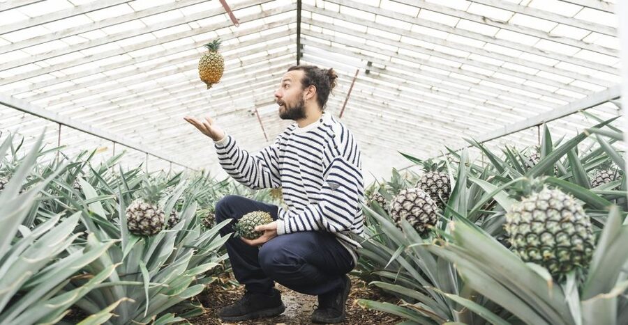 Ponta Delgada: Pineapple wine tasting and pineapple tour - Is $47 per person good value?
