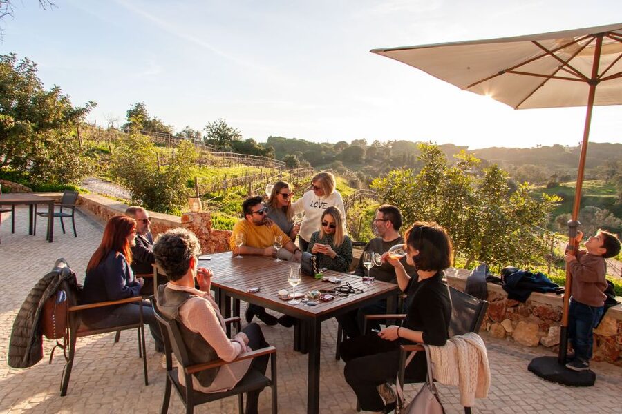 Porches: Algarve Vineyard Tour and Wine Tasting Experience - A family vineyard between ocean and mountains