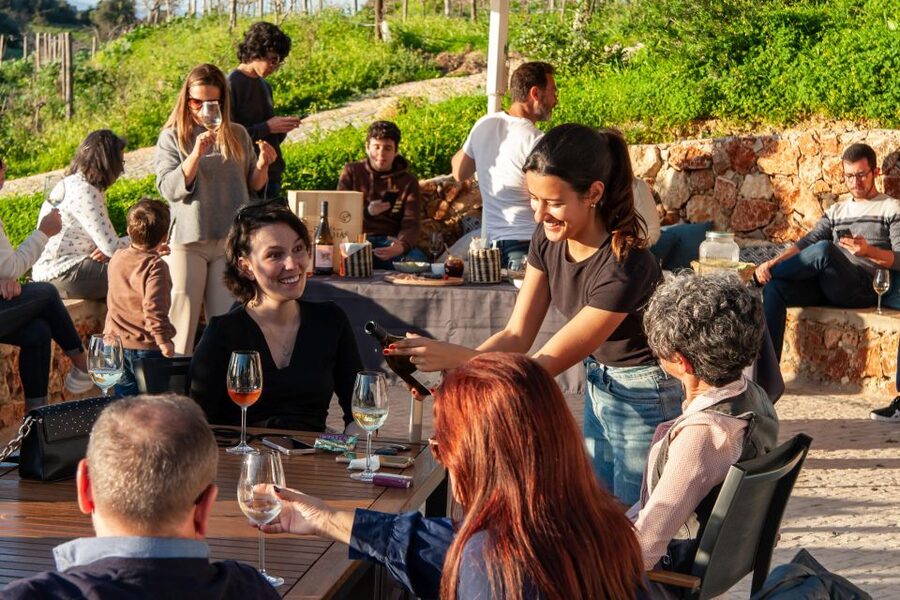 Porches: Algarve Vineyard Tour and Wine Tasting Experience - Why the 1.5-hour length works