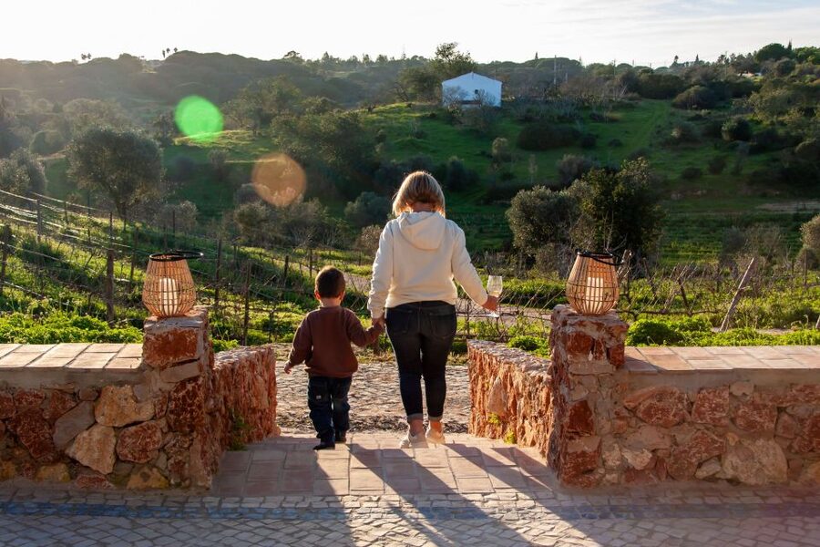 Porches: Algarve Vineyard Tour and Wine Tasting Experience - A welcoming introduction for wine beginners