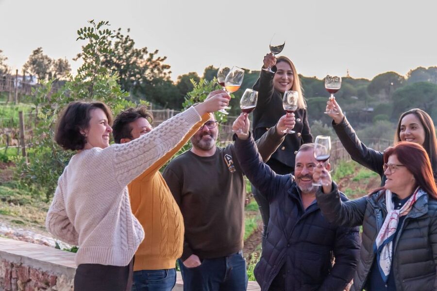 Porches: Algarve Vineyard Tour and Wine Tasting Experience - Price, weather, and practical value