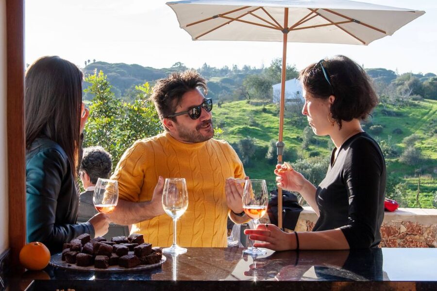Porches: Algarve Vineyard Tour and Wine Tasting Experience - Who should book this Algarve wine visit