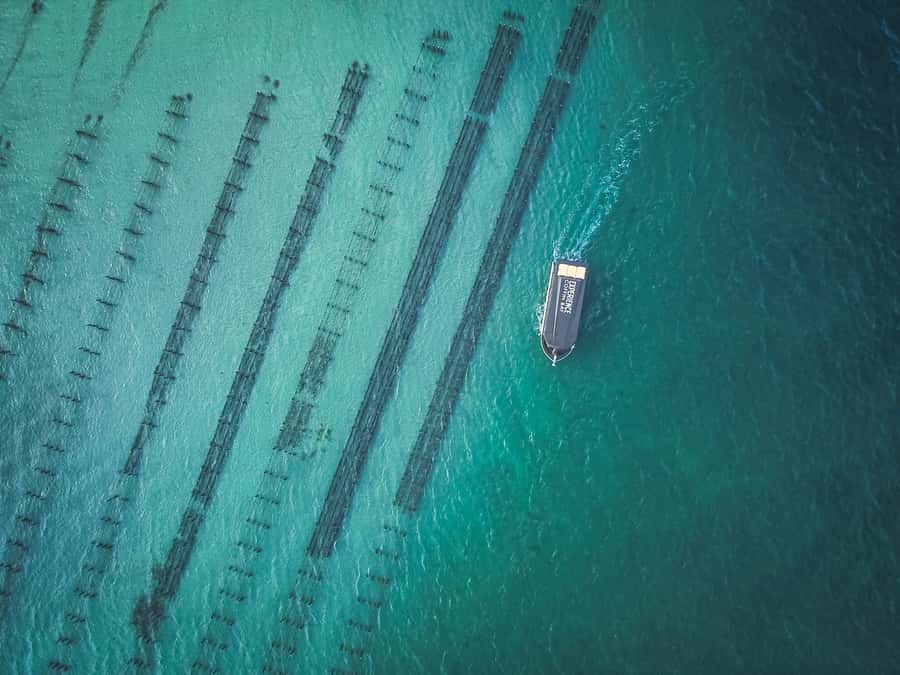 Port Lincoln: Coffin Bay Seafood, Wine, and Nature Day Trip - The three-hour Oyster Farm and Bay Tour upgrade
