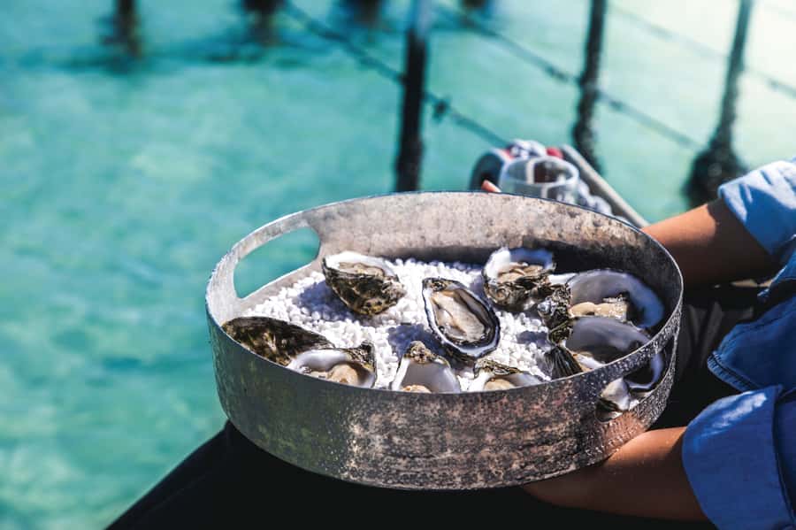 Port Lincoln: Coffin Bay Seafood, Wine, and Nature Day Trip - Boston Bay Wines above the Southern Ocean