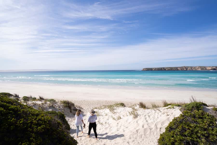 Port Lincoln: Coffin Bay Seafood, Wine, and Nature Day Trip - Coffin Bay oysters and the first farm