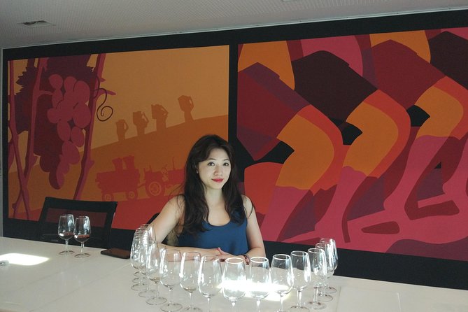 Port Wine Lodges Tour Including 7 Port Wine Tastings (English) - Why this Porto Port tour works