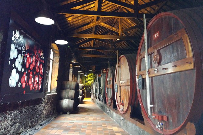Port Wine Lodges Tour Including 7 Port Wine Tastings (English) - The interactive Douro interpretation center