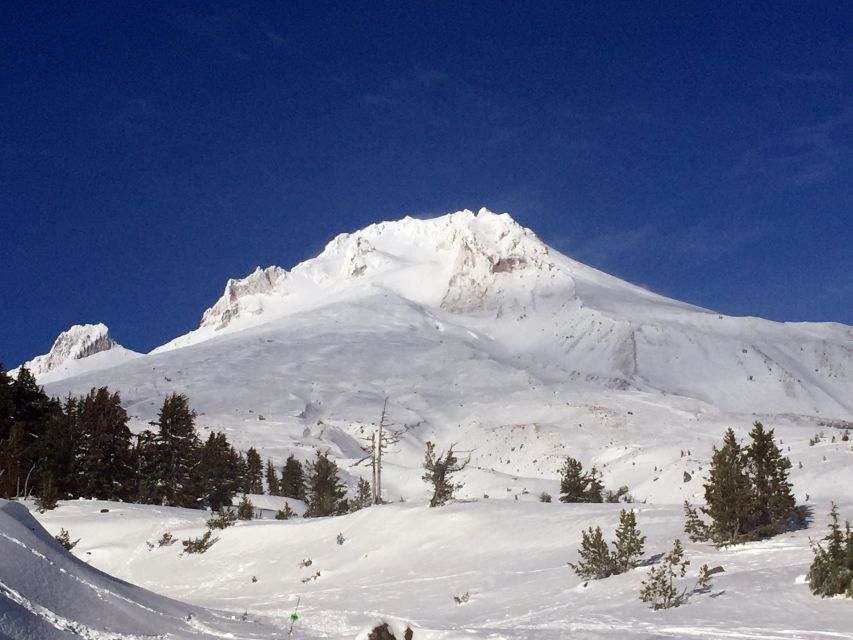 Portland: Mount Hood Wine and Waterfalls Full-Day Tour - Why this Oregon day works so well