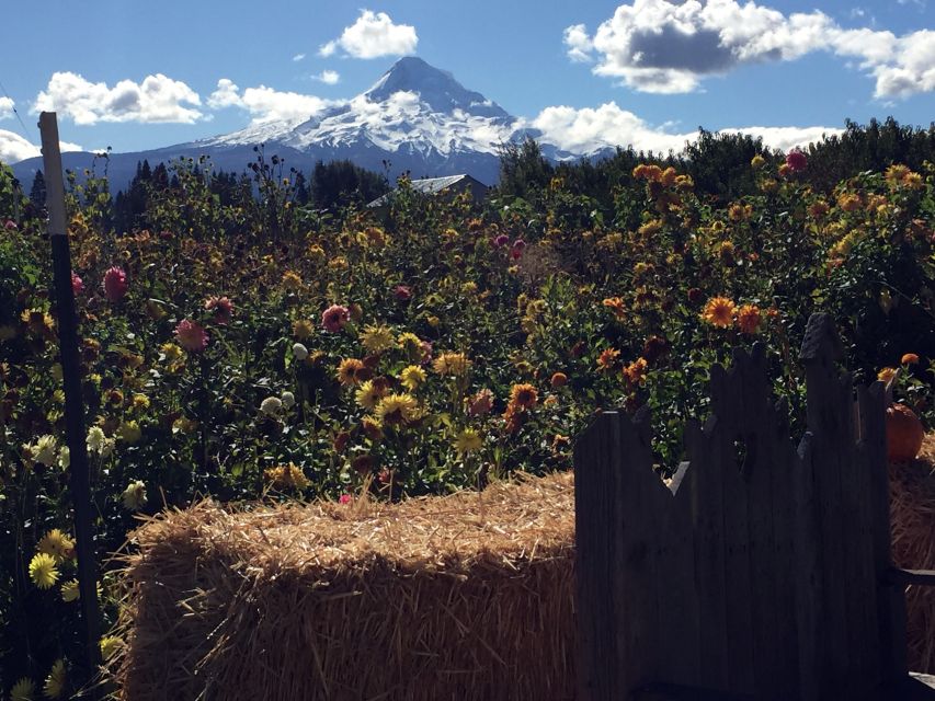Portland: Mount Hood Wine and Waterfalls Full-Day Tour - Who should book this tour?