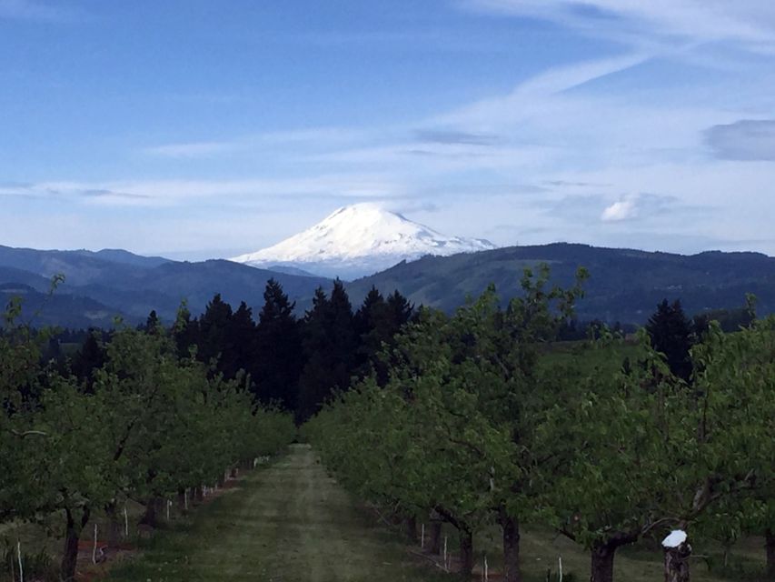 Portland: Mount Hood Wine and Waterfalls Full-Day Tour - The second winery and a slower Oregon rhythm