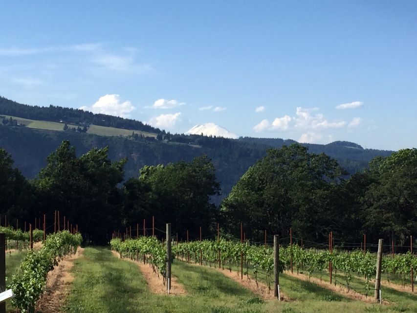 Portland: Mount Hood Wine and Waterfalls Full-Day Tour - How much time do you really have?