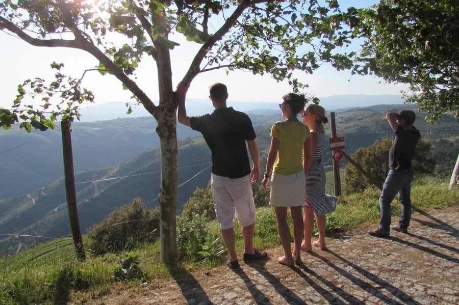 Porto: 3 Douro Valley Vineyards Tour with Lunch - The first tasting sets a friendly tone