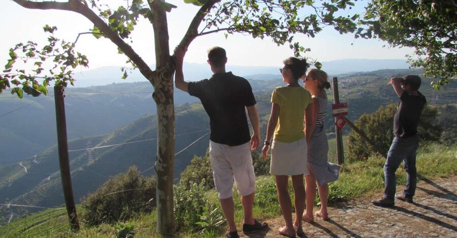 Porto: 3 Douro Valley Vineyards Tour with Lunch - The final tasting adds Port depth