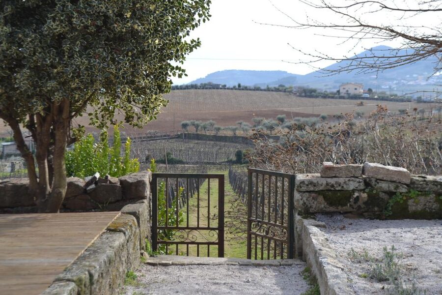 Porto: 3 Douro Valley Vineyards Tour with Lunch - Your guide can make or break the day