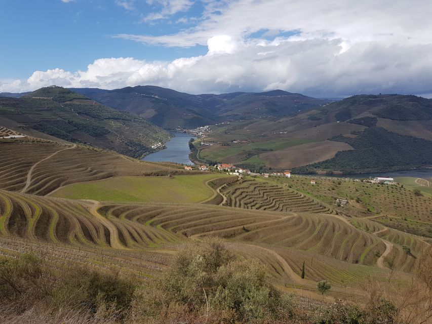 Porto: 3 Douro Valley Vineyards Tour with Lunch - Who should book this Douro Valley day trip?