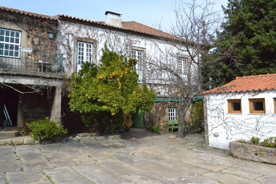 Porto: 3 Douro Valley Vineyards Tour with Lunch - The second vineyard often feels like the sweet spot