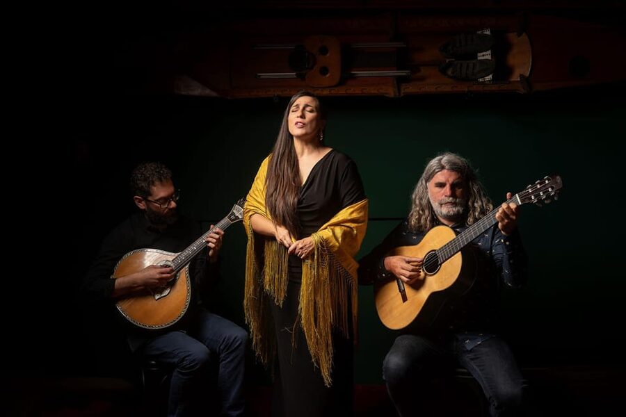 Porto: Authentic Fado Concert With Port Wine & Views - Who should book this experience?