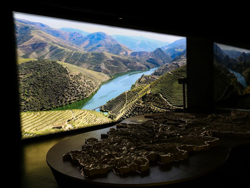 Porto: Cálem Cellar Tour, Interactive Museum & Wine Tasting - What you learn about Port production