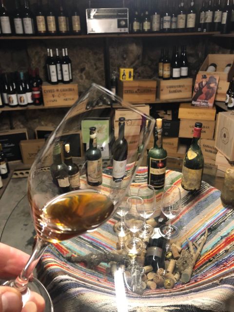 Porto: Cheese and Port Wine Tasting in a Unique Place - Pairing four cheeses with three port wines