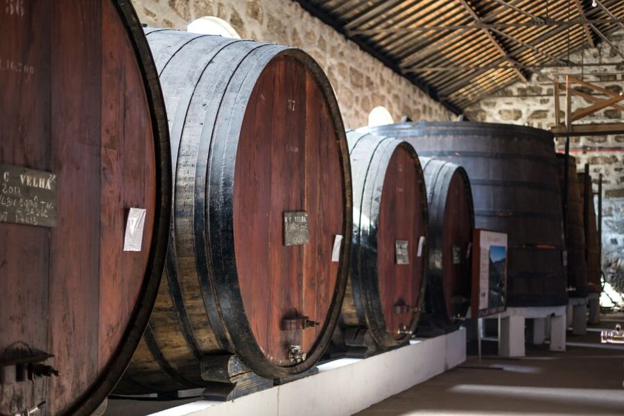 Porto: City Train Tour, River Cruise & Wine Cellar - Small details that make the day easier