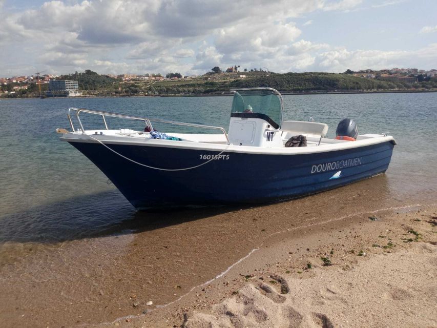 Porto: Douro River Cruise w/ Portuguese Wines & Local Host - Is $44 a fair price?
