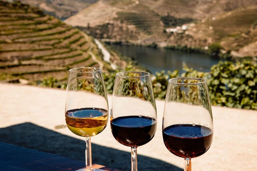 Porto: Douro Valley & Amarante Wine, Food & River Tour - The first viewpoint and the famous N222