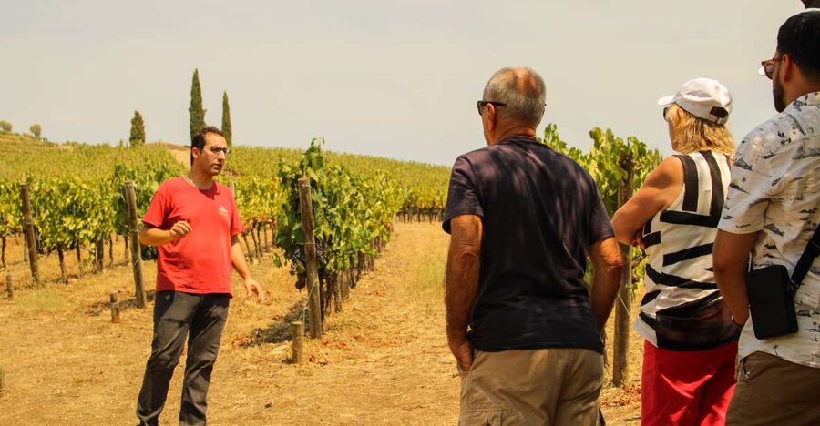 Porto: Douro Valley History & Wine Tour with Cruise & Lunch - Key points to know before you book