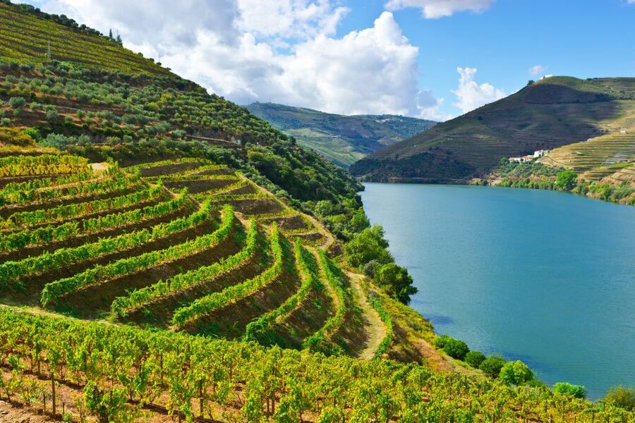 Porto: Douro Valley History & Wine Tour with Cruise & Lunch - Why this Douro Valley day works so well