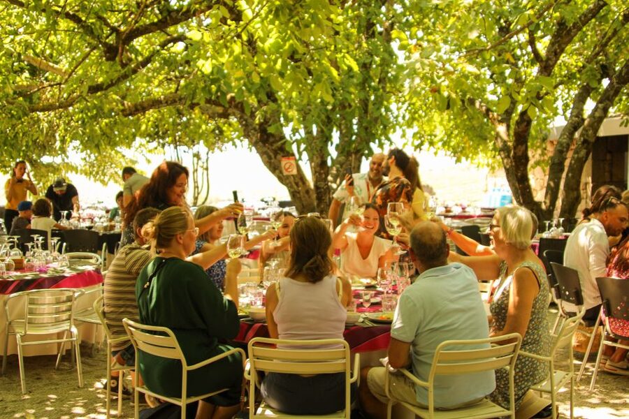 Porto: Douro Valley History & Wine Tour with Cruise & Lunch - Pinhão and the one-hour Rabelo cruise