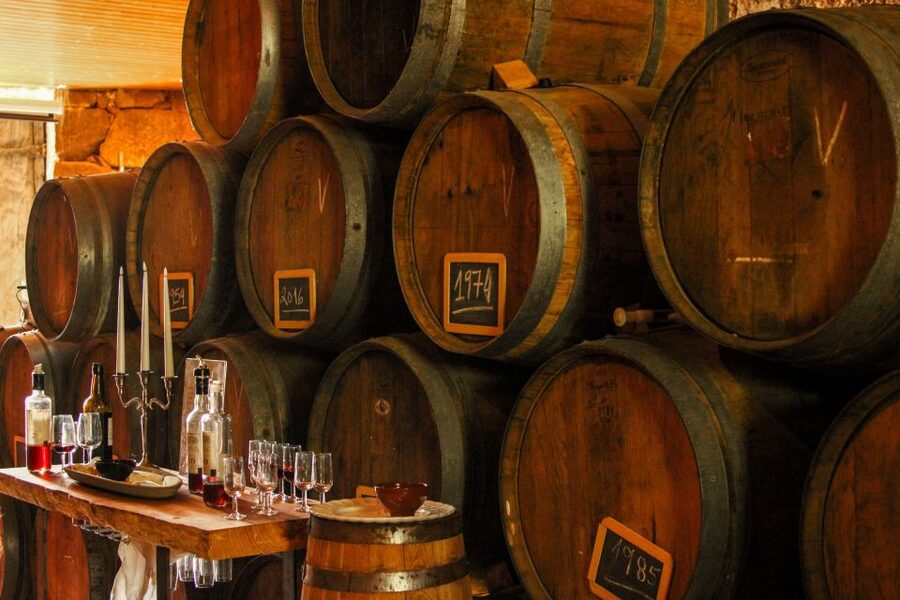 Porto: Douro Valley History & Wine Tour with Cruise & Lunch - What the day feels like in practice