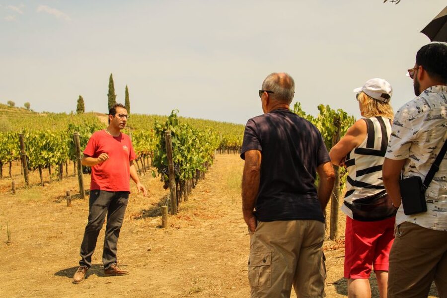 Porto: Douro Valley History & Wine Tour with Cruise & Lunch - Amarante gives the morning a gentle start
