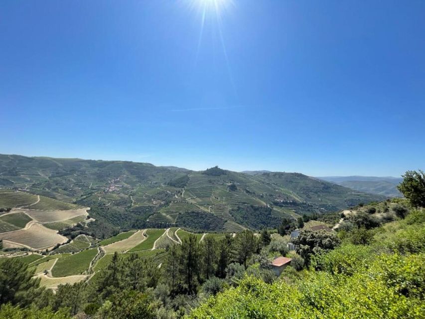 Porto: Douro Valley Tour with 2 Wineries, Lunch and Cruise - Meeting in Porto and settling into the van