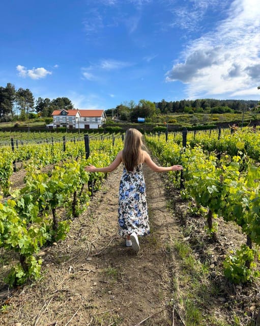 Porto: Douro Valley Tour with 2 Wineries, Lunch and Cruise - Lunch at a family-owned winery
