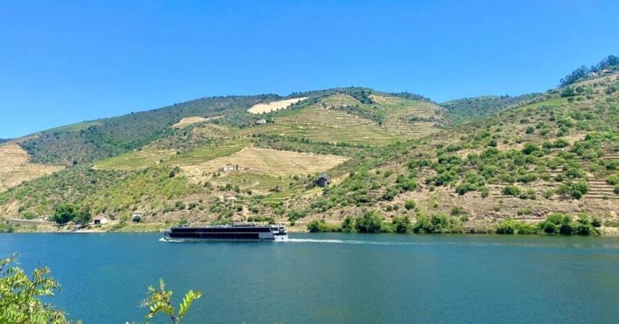 Porto: Douro Valley Tour with 2 Wineries, Lunch and Cruise - What the two winery visits actually offer
