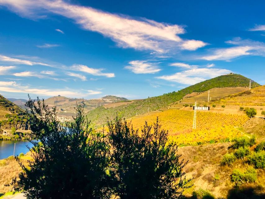 Porto: Douro Valley Tour with 2 Wineries, Lunch and Cruise - The guides are a major part of the experience