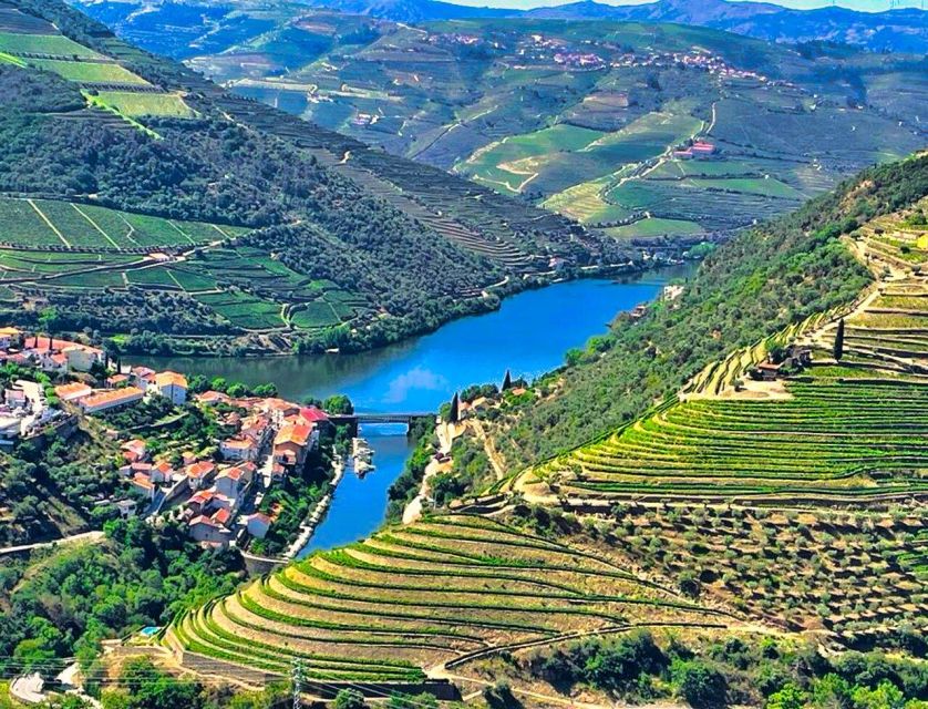 Porto: Douro Valley Tour with 2 Wineries, Lunch and Cruise - Rain, timing, and practical limits