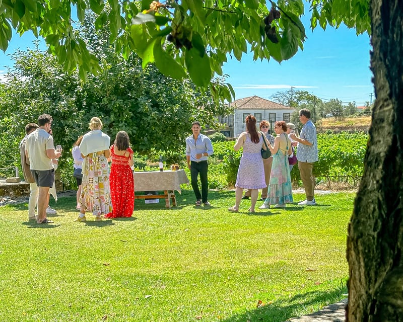 Porto: Douro Valley Tour with 2 Wineries, Lunch and Cruise - The N222 and the first taste of the valley