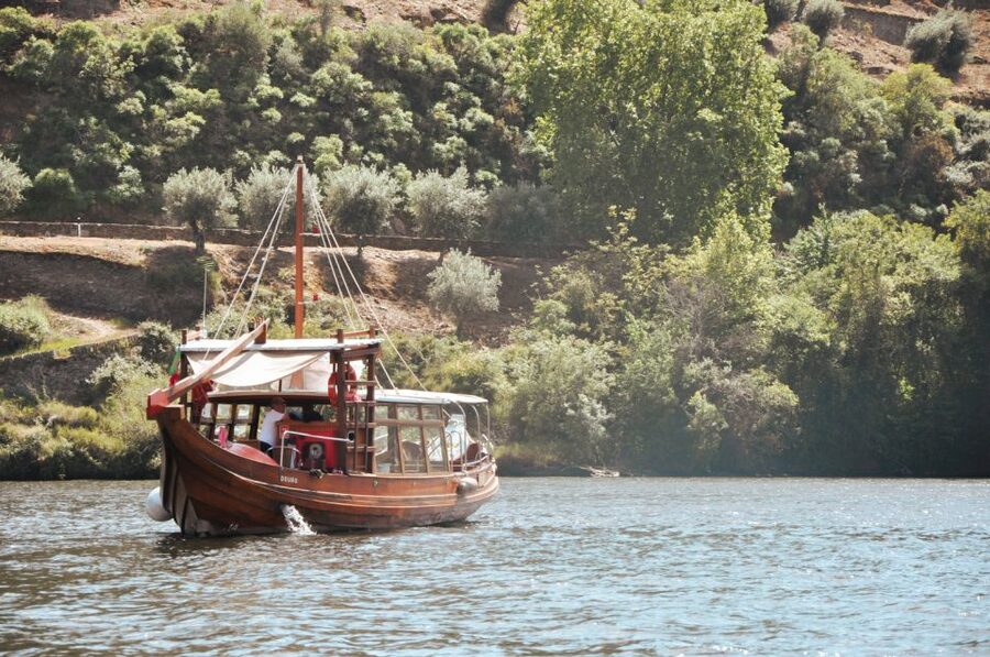 Porto: Douro Valley Tour with Wine Tasting, Cruise and Lunch - What the $76 price really buys you