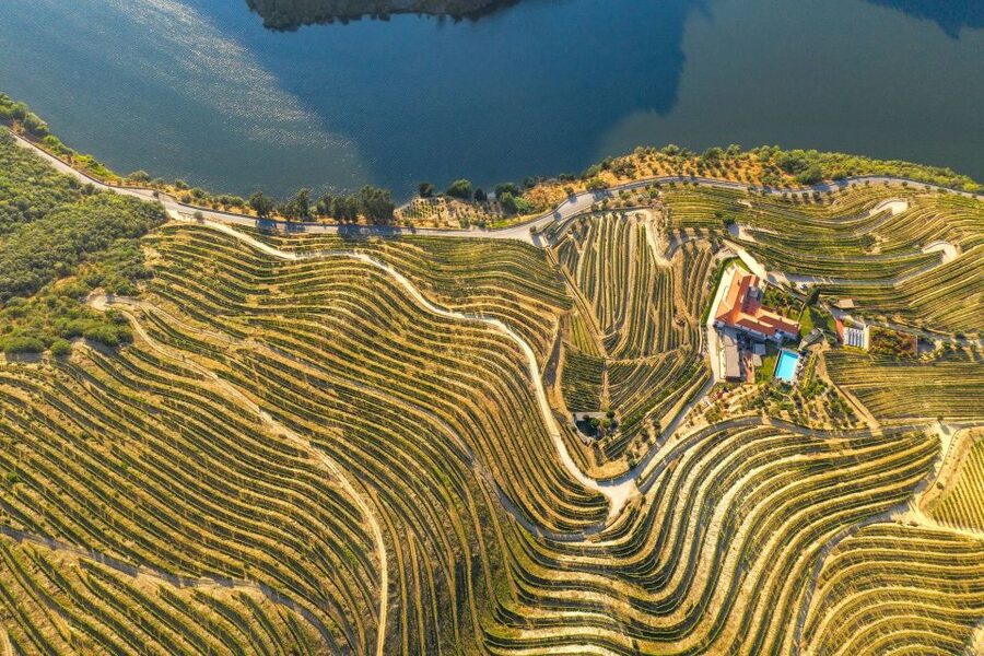 Porto: Douro Valley Tour with Wine Tasting, Cruise and Lunch - A traditional lunch, with realistic expectations