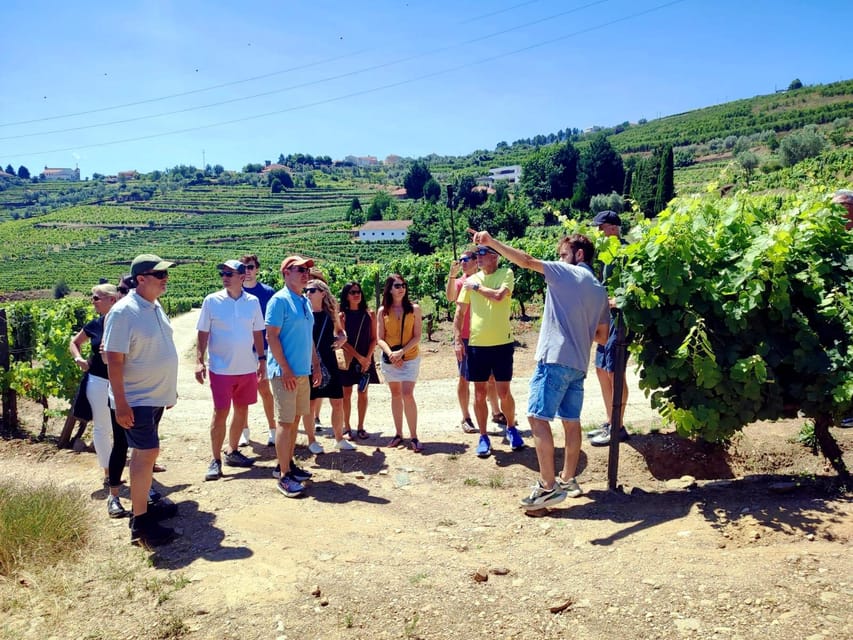 Porto: Douro Valley Vineyards Tour with Lunch & River Cruise - At a glance