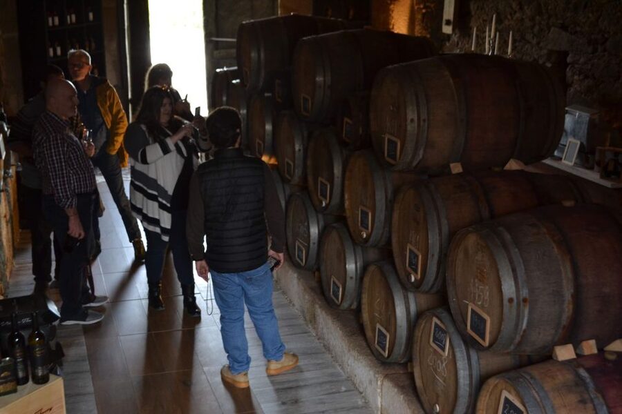 Porto: Douro Valley Vineyards Tour with Lunch & River Cruise - Why the Douro Valley makes a worthwhile day from Porto