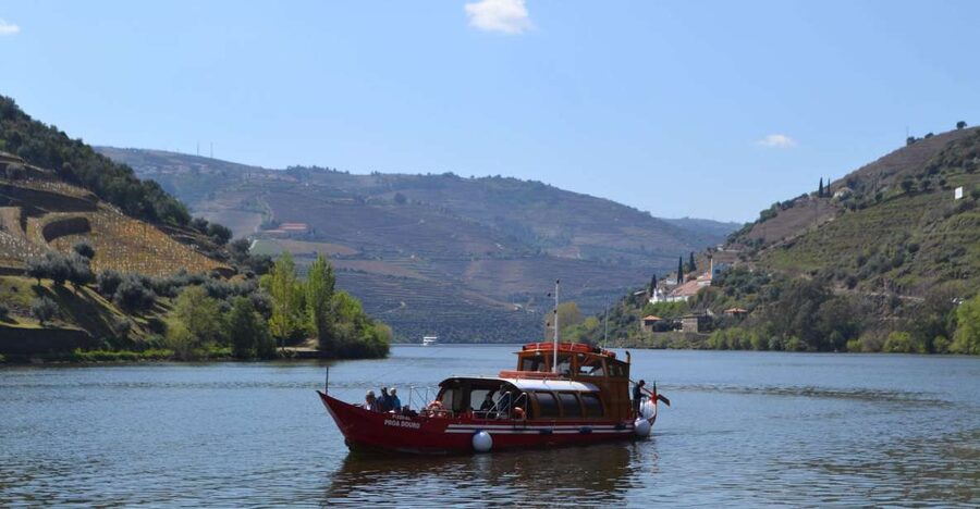 Porto: Douro Valley Vineyards Tour with Lunch & River Cruise - First tasting near Lamego