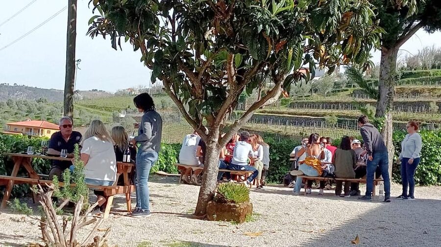 Porto: Douro Valley Vineyards Tour with Lunch & River Cruise - Guides and group atmosphere